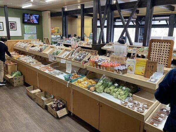 たびこふれライター達が実際に訪れた全国の「道の駅」おすすめ14選！