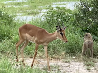ブログイメージ