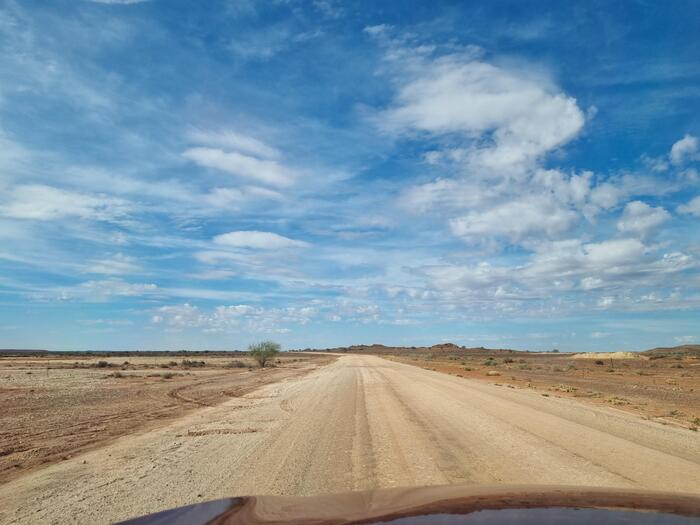 オーストラリア　アボリジナルアート　ワルガ岩　キュー