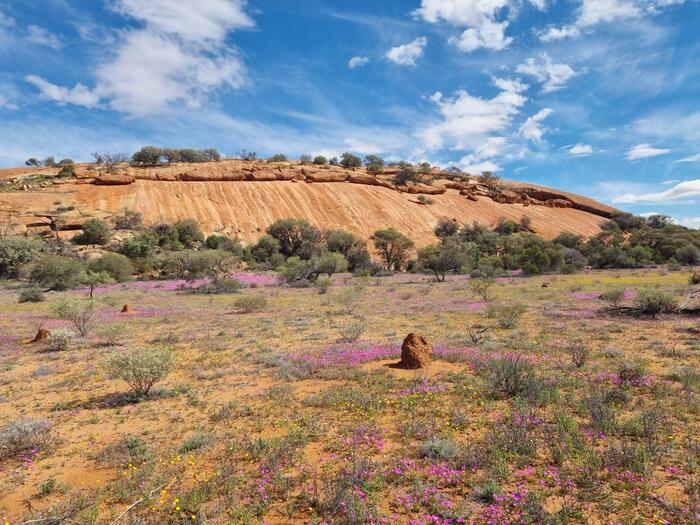 オーストラリア　ワルガ岩　自然