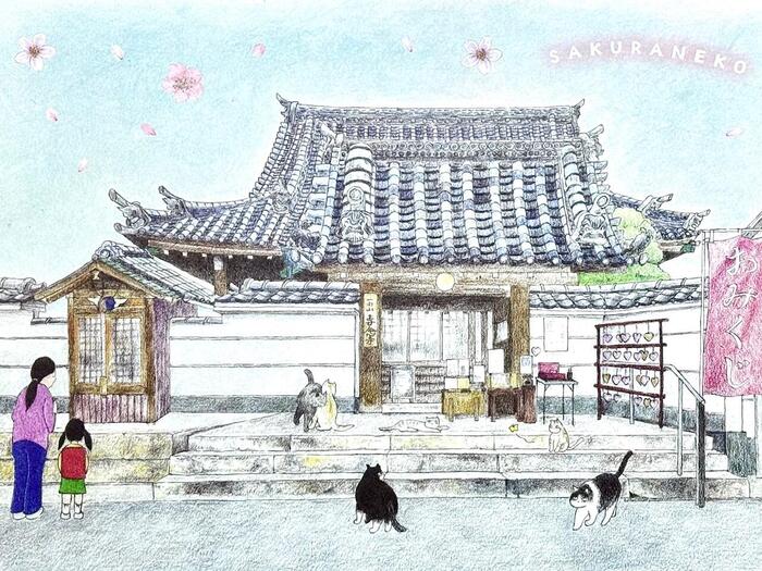 一向山　専念寺　融通念仏宗　大阪府　大阪市　平野区　喜連　人形供養　悪縁切り　サクラネコ　日本一美しい迦陵頻伽　ネコ坊主　御朱印