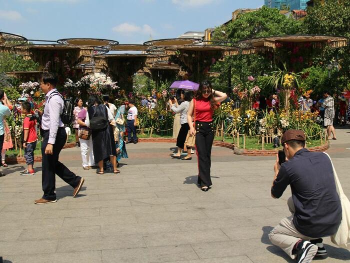 ベトナム 旧正月（テト）　フラワーロード