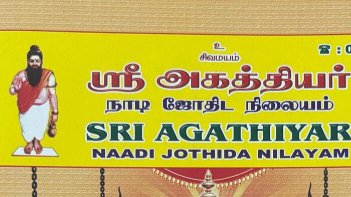 聖人アガスティア　インド　占星術師