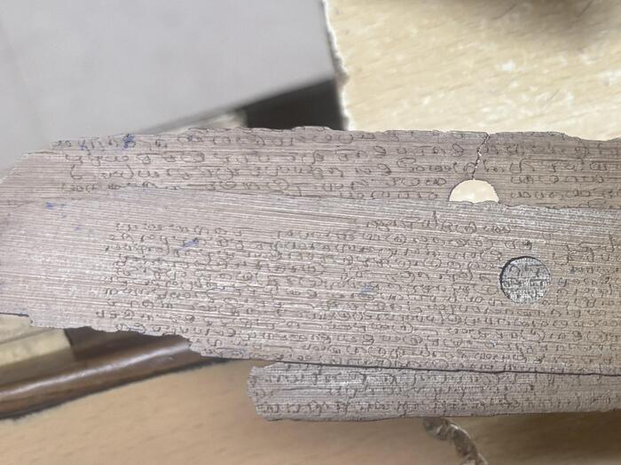 聖人アガスティア　インド　占星術師　記載された葉