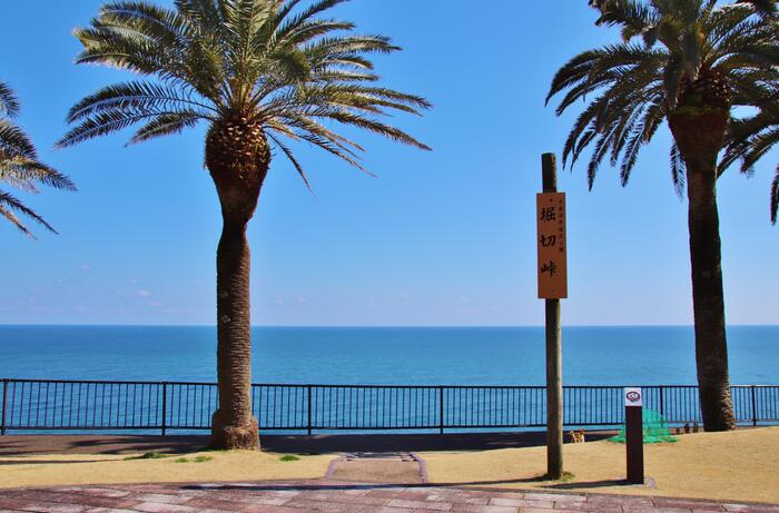 宮崎県　観光スポット　ヤシの木　堀切峠