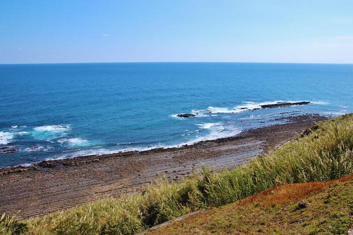 宮崎県　観光スポット　ヤシの木　堀切峠