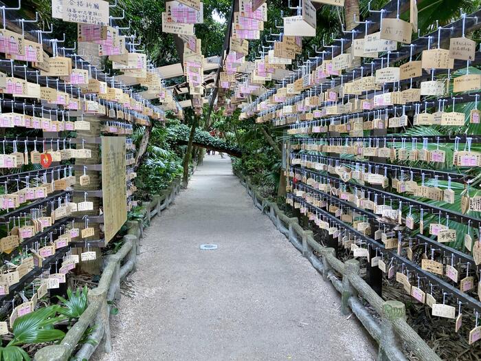 宮崎県　観光スポット　青島神社　木札