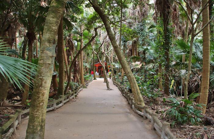 宮崎県　観光スポット　青島神社　奥宮