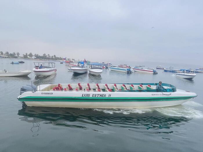 バジェスタス諸島　ペルー　パラカス　観光　ボート