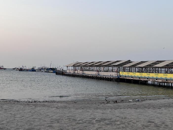 バジェスタス諸島　ペルー　パラカス　観光　ボート