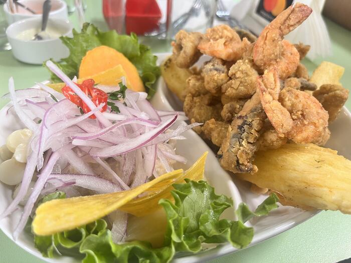 ペルー　パラカス　観光　グルメ