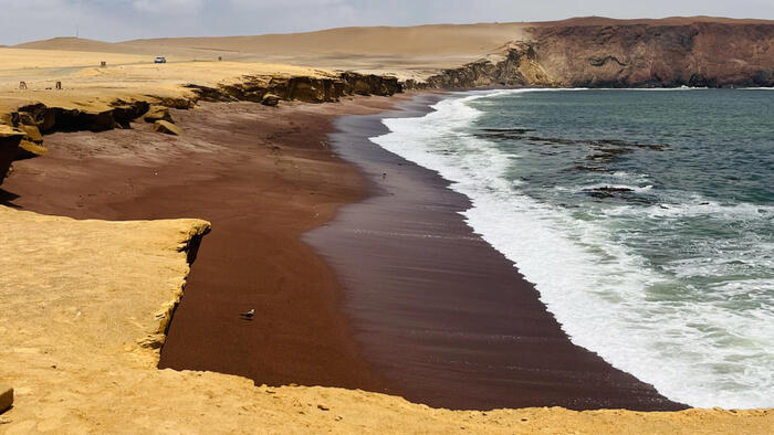 パラカス自然保護区　ペルー　パラカス　観光　海