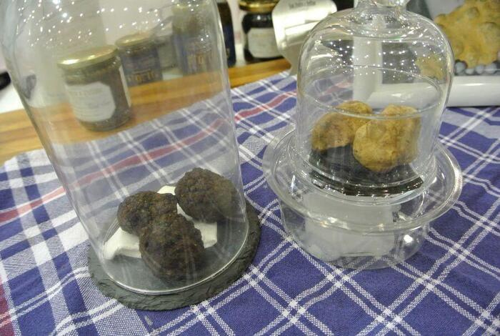 スペイン　黒トリュフ