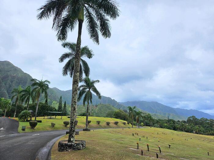 ハワイ　平等院テンプル　敷地内　公園