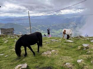 ブログイメージ