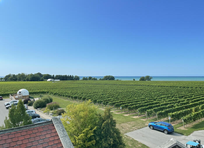 コンゼルマン（Konzelmann）ワイナリーの上からの景色