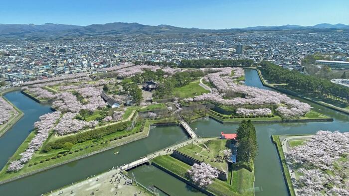 五稜郭タワーから見た五稜郭公園