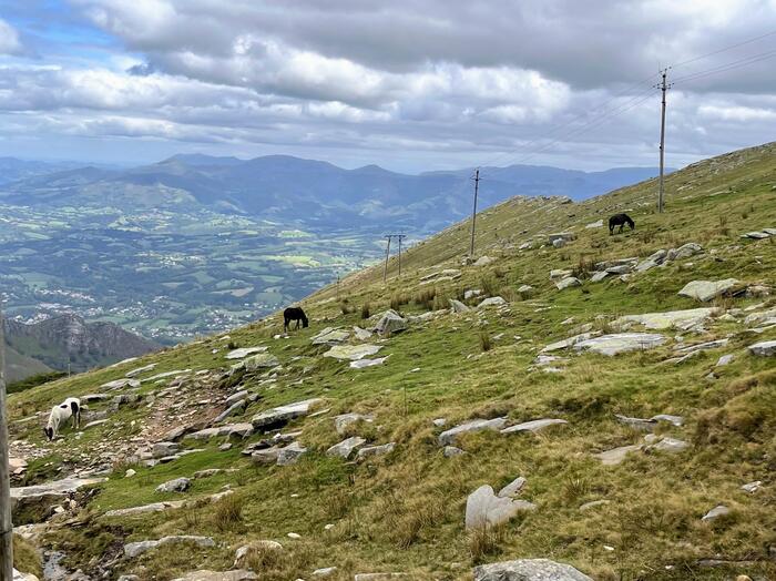 登山鉄道　バスクの聖峰ラ・リューヌ　フランス　ボニー