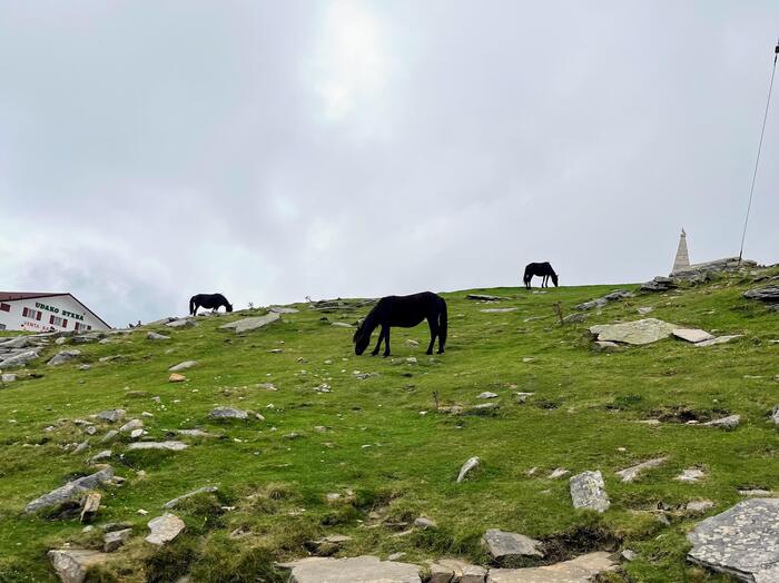 登山鉄道　バスクの聖峰ラ・リューヌ　フランス　ポトック