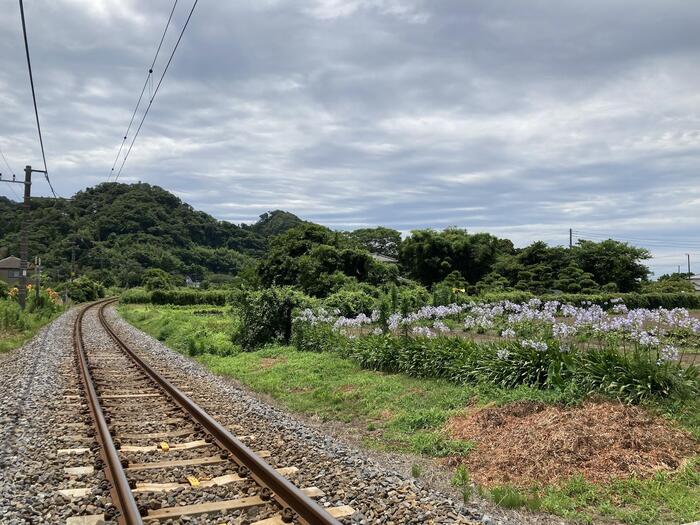 南房総 観光　岩井駅　 千葉県　