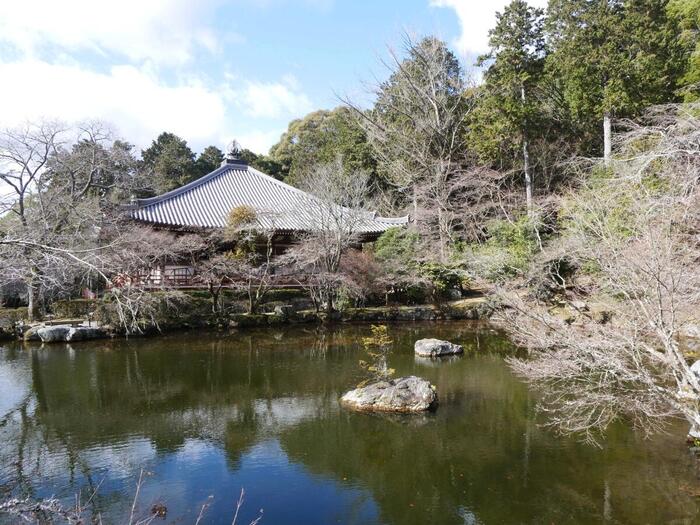 京都　世界文化遺産　醍醐寺　弁天堂　池