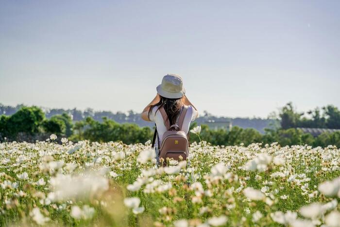 スーパーブルーム　カリフォルニア　絶景　散歩　ワイルドフラワー