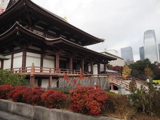 ブログイメージ