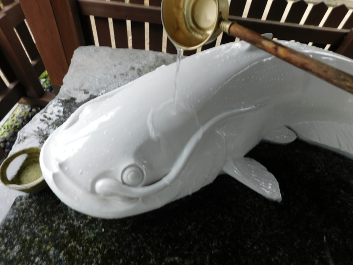 白なまず様のアップ