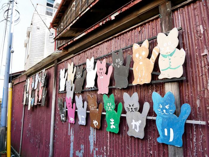 にゃにゃまがりの看板となっている猫たち