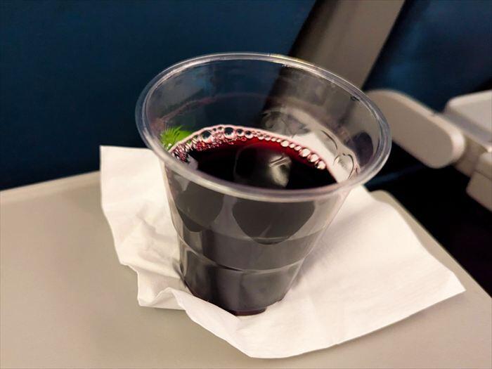 フィリピンエア機内サービス　フィリピン航空と空港ラウンジ体験記｜バリ島からマニラ編