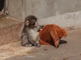 ブログイメージ