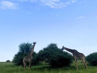 ブログイメージ