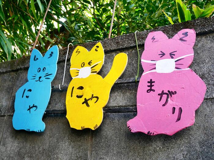 にゃにゃまがりと書かれた猫