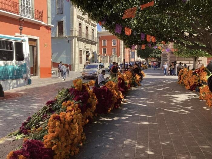 メキシコ　観光　グアナファト　リメンバーミー　死者の日　