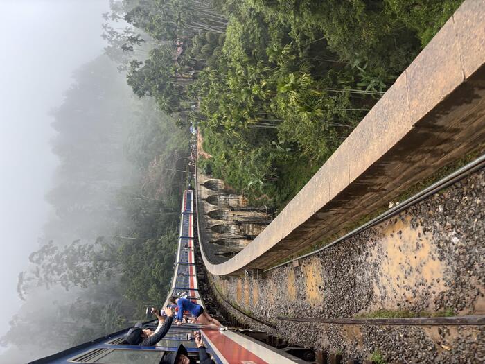 スリランカの絶景を巡る紅茶列車の旅　列車