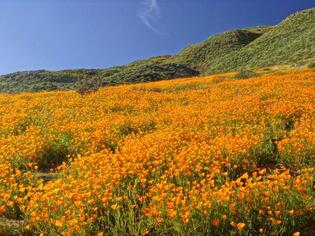 ブログイメージ