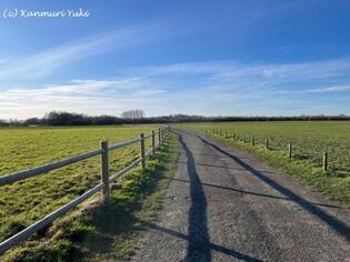 ブログイメージ