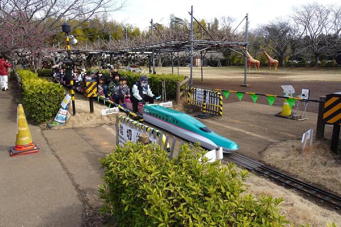 市川市動植物園 ミニ新幹線