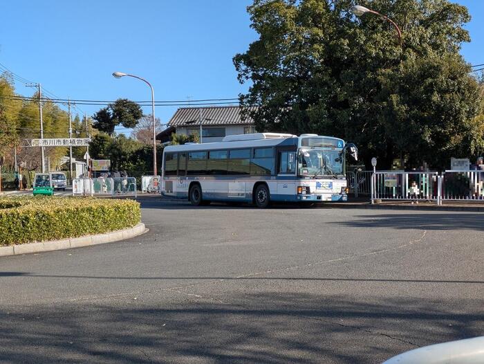i市川市動植物園 パンチくん サル山　バス