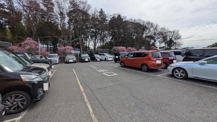 市川市動植物園 パンチくん 駐車場