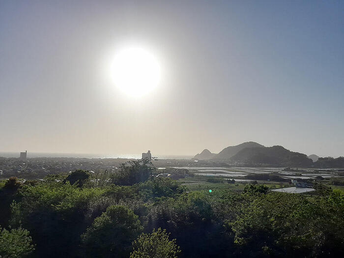 南房総　お茶　野点　観光　観音山