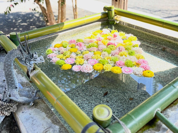 千葉県柏市　散歩　モデルコース　紅龍山布施弁天東海寺　参拝　