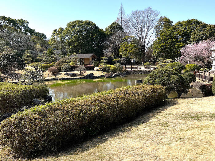 千葉県柏市　散歩　モデルコース　あけぼの山農業公園 日本庭園