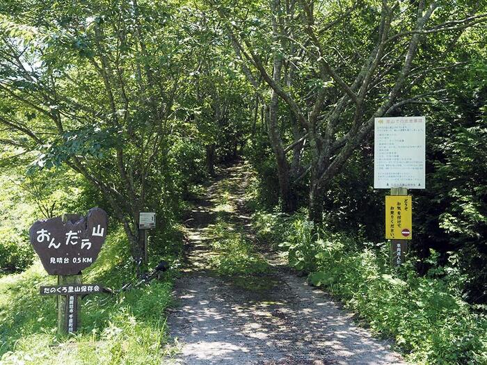 南房総　お茶　野点　観光　おんだら山