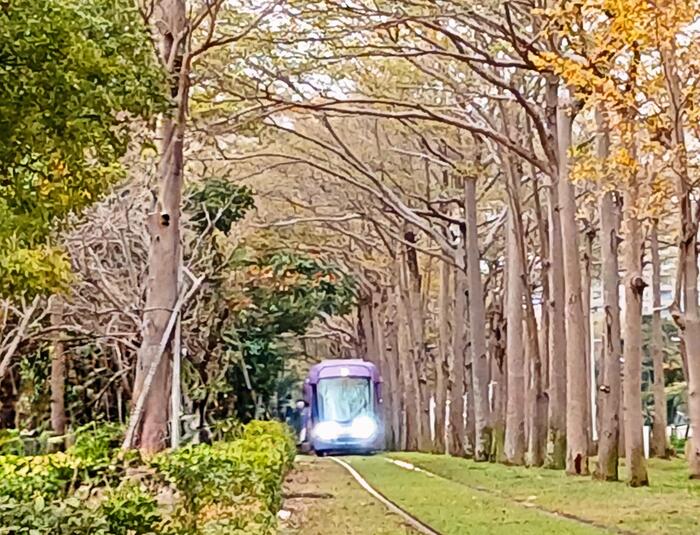 台湾レトロ体験＆台湾グルメ　観光　散策　鉄道　トトロトンネル