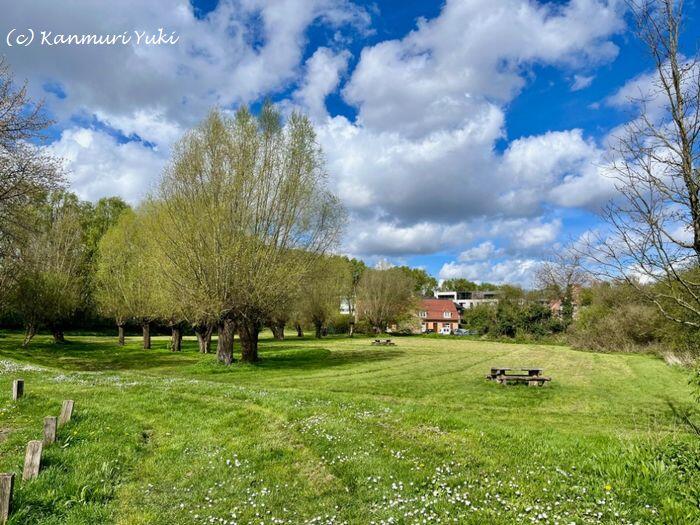 フランス人 暮らし方　生活　公園