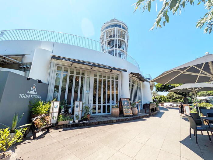 TODAI KITCHEN DELI&TEA　テラスカフェ　　逗子・鎌倉・江の島　GW　日帰りドライブ　モデルコース
