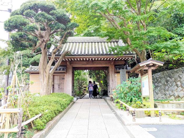 報国寺　　逗子・鎌倉・江の島　GW　日帰りドライブ　モデルコース