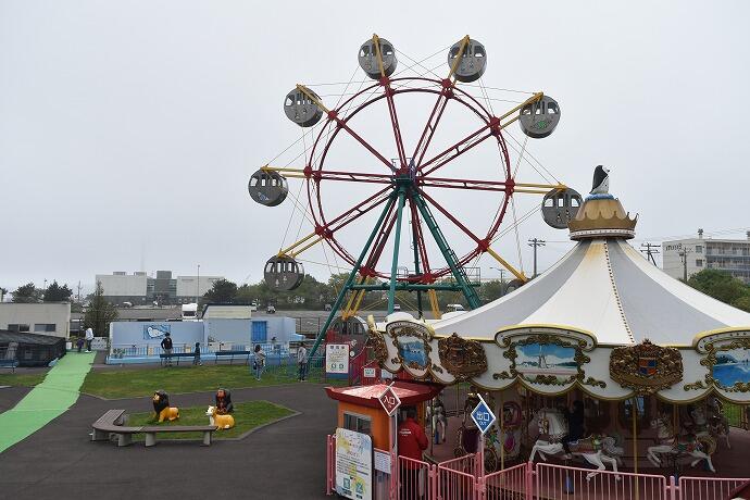 室蘭民報みんなの水族館　北海道　展示　観覧車　観光