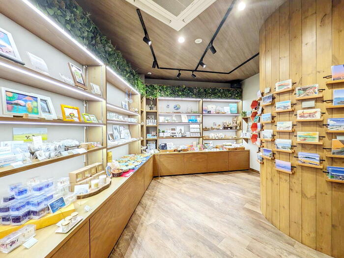 21days SOUVENIR(S) ENOSHIMA 　逗子・鎌倉・江の島　GW　日帰りドライブ　モデルコース